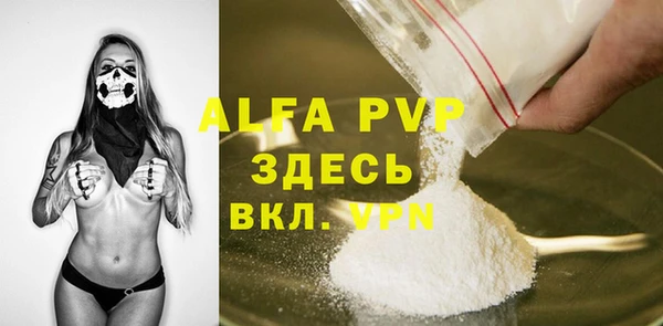 амф Верхний Тагил