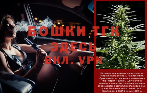 амф Верхний Тагил