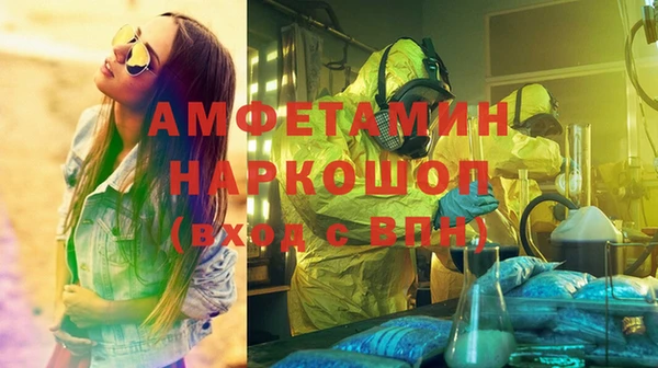 амф Верхний Тагил