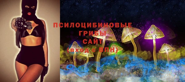 сатива Верхнеуральск