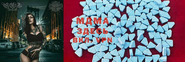 амф Верхний Тагил