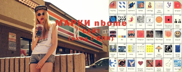 амф Верхний Тагил
