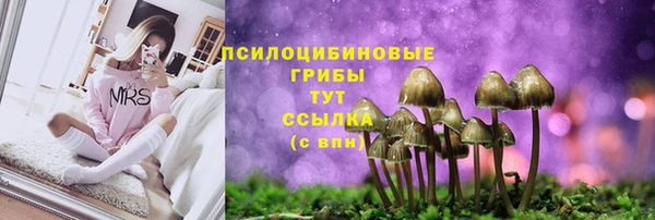 амф Верхний Тагил