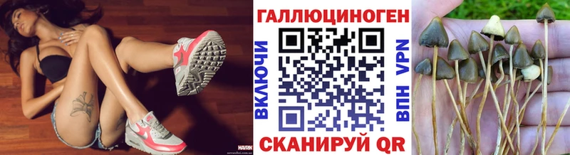 ссылка на мегу маркетплейс  наркотики  Кисловодск  Галлюциногенные грибы GOLDEN TEACHER 