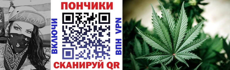 Канабис семена Кисловодск